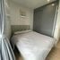 2 Bedroom Condo for rent at Skyrise Avenue Sukhumvit 64, Bang Chak, Phra Khanong