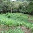  Land for sale in Bay Islands, Roatan, Bay Islands