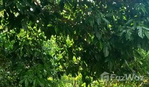 N/A Land for sale in Lo Yung, Phangnga 