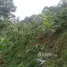  Land for sale in Risaralda, Caldas, Risaralda, Caldas