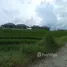  Land for sale in Bali, Canggu, Badung, Bali