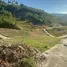  Land for sale in Maenam, Surat Thani, Maenam, Koh Samui