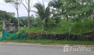 N/A Land for sale in Chalong, Phuket 