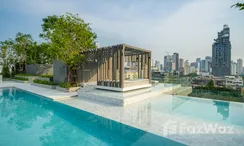 Photos 3 of the Communal Pool at FYNN Sukhumvit 31