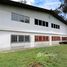  Warehouse for sale in La Sabana Park, San Jose, San Jose
