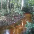  Terreno for sale in Amazonas, Rio Preto da Eva, Amazonas