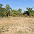  Земельный участок for sale in Phanao, Накхон Ратчасима, Phanao