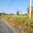  Land for sale in Sai Noi, Nonthaburi, Nong Phrao Ngai, Sai Noi