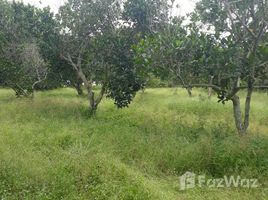  Terrain for sale in Mueang Rayong, Rayong, Ban Laeng, Mueang Rayong
