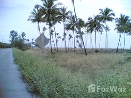 在北大年出售的 土地, Laem Pho, Yaring, 北大年