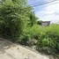  토지을(를) FazWaz.co.kr에서 판매합니다., Rawai, 푸켓 타운, 푸켓, 태국