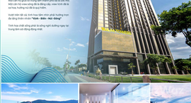 Các căn hiện có ở Risemount Apartment 