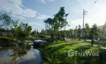 Communal Garden Area at เพลินจิต คอลลิน่า