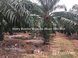  Tanah for sale in Kedah, Padang Masirat, Langkawi, Kedah