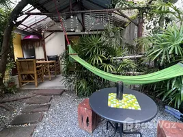 Passion Nai Harn Bungalows & Guest House で賃貸用の 1 ベッドルーム 一軒家, ラワイ, プーケットの町, プーケット, タイ