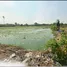  Land for sale in Bang Yai, Nonthaburi, Bang Yai, Bang Yai, Nonthaburi