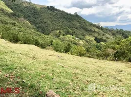  Land for sale in Colombia, Copacabana, Antioquia, Colombia