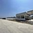 292 m2 Office for sale in Pathum Thani, Na Mai, Lat Lum Kaeo, Pathum Thani