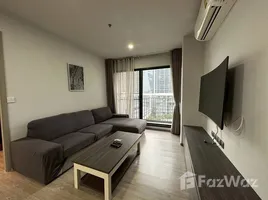 在Rhythm Ekkamai出售的2 卧室 住宅, Khlong Tan Nuea