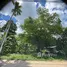  Land for sale in Pa Khlok, Phuket, Pa Khlok