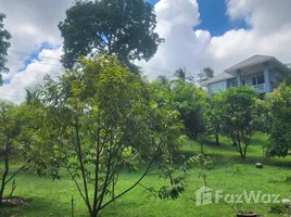 ขายบ้านเดี่ยว 9 ห้องนอน ใน มะเร็ต, สุราษฎร์ธานี, มะเร็ต