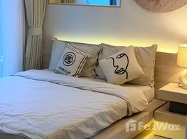 คอนโด 1 ห้องนอน ให้เช่า ในโครงการ ฟีล ภูเก็ต บาย เซนทรัล พัฒนา, วิชิต, เมืองภูเก็ต, ภูเก็ต