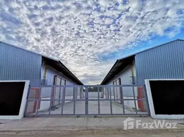 คลังสินค้า ให้เช่า ในทำเล ไทรน้อย, นนทบุรี, ไทรน้อย, ไทรน้อย, นนทบุรี