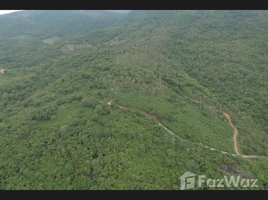 Na Mueang, サムイ島 で売却中 土地区画, Na Mueang