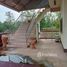 4 Bedroom Villa for sale in Chiang Rai, Ban Pong, Wiang Pa Pao, Chiang Rai