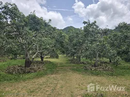  Land for sale in Sam Roi Yot, Hua Hin, Sam Roi Yot, Sam Roi Yot