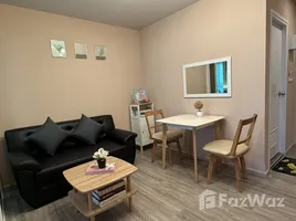 1 Bedroom Apartment for rent at Regent Home Bangna, Bang Na, Bang Na, Bangkok, Thailand