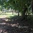  Land for sale in Guanacaste, Santa Cruz, Guanacaste