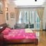 5 Schlafzimmer Haus zu verkaufen in Cau Giay, Hanoi, Mai Dich, Cau Giay