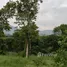  Land for sale in Wang Sai, Nakhon Ratchasima, Wang Sai, Pak Chong, Nakhon Ratchasima