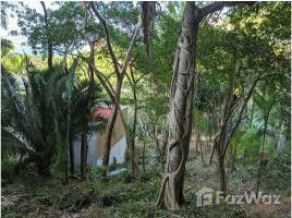  Земельный участок for sale in Nayarit, Compostela, Nayarit